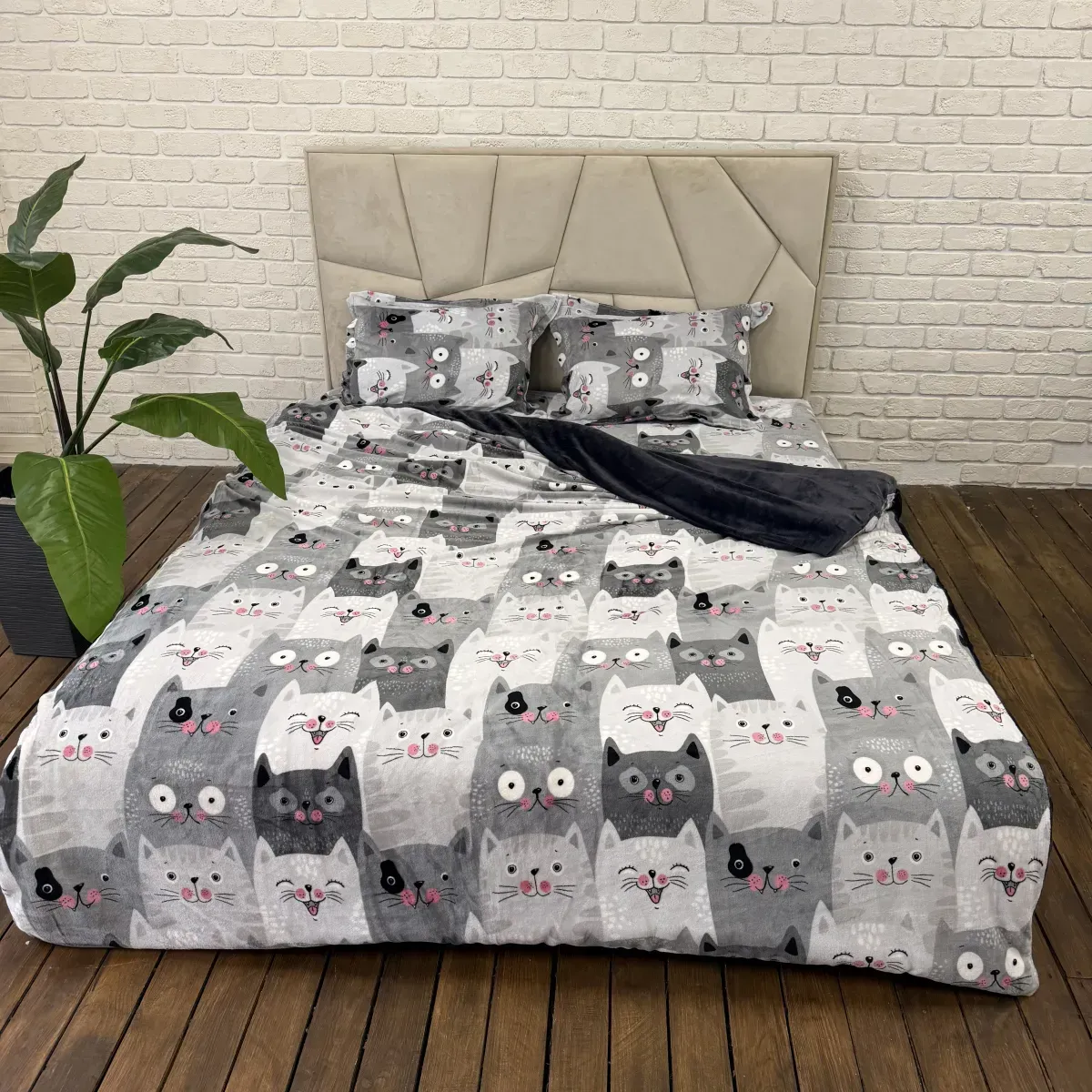 Котики
