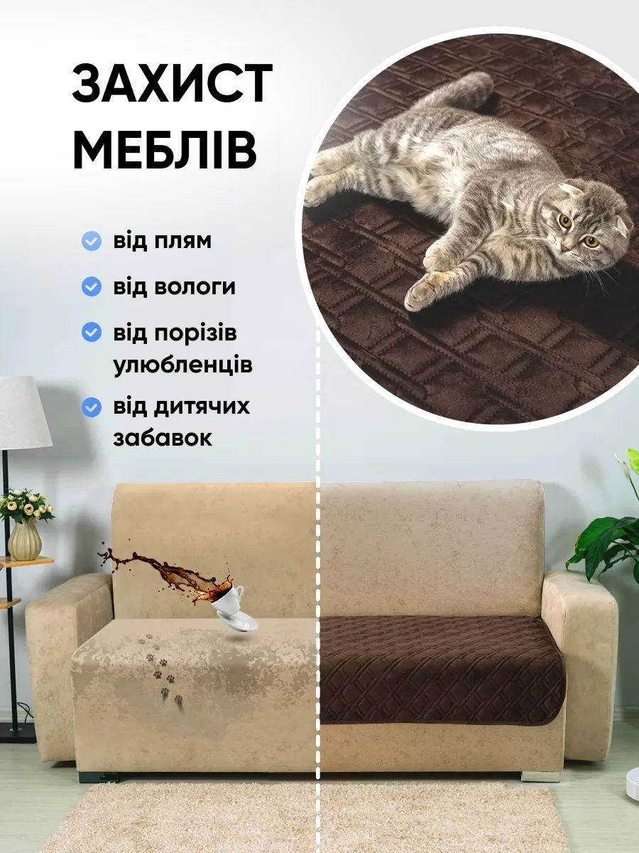Характеристика дивандеку